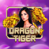 Dragon Tiger Big Bet live casino icon
